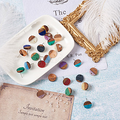Resin & Walnut Wood Stud Earring Findings&nbsp;MAK-CD0001-06