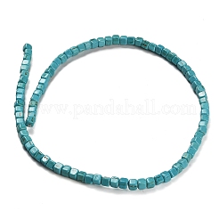 Synthetic Turquoise Beads Strands&nbsp;G-C101-A01-01