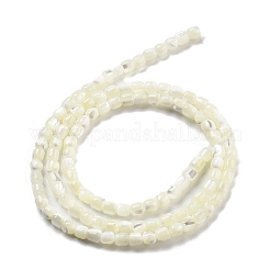 天然トロチッドシェル/トロカスシェルビーズ連売り  コラム  ホワイトスモーク  3.5x3~3.5mm  穴：0.5mm  約106個/連  15.16''（38.5センチメートル）&nbsp;BSHE-G038-01