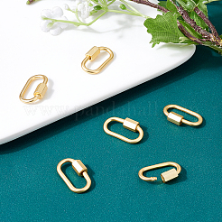 6Pcs Brass Screw Carabiner Lock Charms&nbsp;KK-FH0002-91