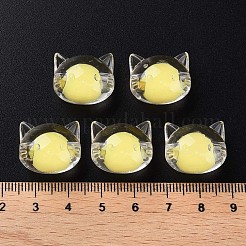 Transparent Acrylic Beads&nbsp;X1-MACR-S373-115-B05