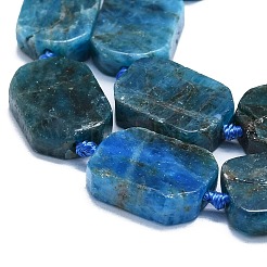 天然石アパタイトビーズ連売り  長方形  15~17x10~13x5~7mm  穴：1mm  約22個/連  15.94インチ（40.5cm）&nbsp;G-K245-J20-01