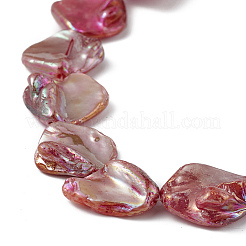 AB Color Plated Natural Freshwater Shell Beads Strands&nbsp;BSHE-G033-03A