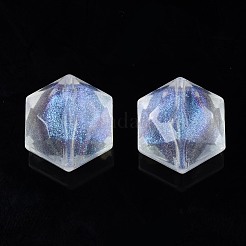 Transparent Acrylic Beads&nbsp;OACR-N008-074