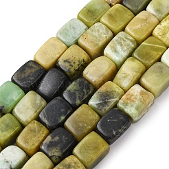 Natural Serpentine Beads Strands&nbsp;G-D098-D06