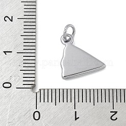 304ステンレススチールチャーム  丸カン付き  ピザチャーム  ステンレス鋼色  12.5x12x2mm  穴：5.5mm&nbsp;STAS-M120-02B-P