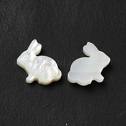 ナチュラルホワイトシェルビーズ  兎  貝殻色  11x11x3.5mm  穴：0.7mm&nbsp;BSHE-E026-08