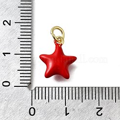 Brass Red Enamel Charms&nbsp;KK-Z102-23G-04