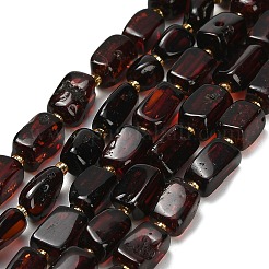Natural Amber Beads Strands&nbsp;G-Z106-B01-01A