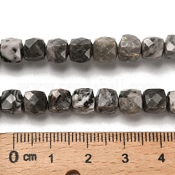 Natural Map Stone/Picasso Stone/Picasso Jasper Beads Strands&nbsp;G-H078-C07-01