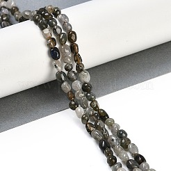 天然石ラブラドライトビーズ連売り  ナゲット  タンブルストーン  4~6x7~10x4~6mm  穴：1mm  15.75''（40センチメートル）&nbsp;G-P497-01B-03