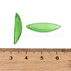 Transparent Acrylic Pendants&nbsp;AC-CBA5040-01D
