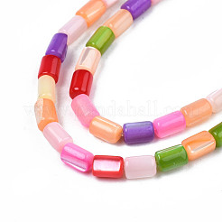 天然トロチッドシェル/トロカスシェルビーズ連売り  染め  コラム  カラフル  4~5x3~3.5mm  穴：0.9mm  約77~78個/連  15.55インチ〜15.75インチ（39.5~40cm）&nbsp;SHEL-N003-26-B01