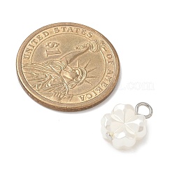 10色のプラスチックパールチャーム2個  花  鉄ループ付き  プラチナ·ゴールデン  14.5~17x10.5~12x3.5~11mm  穴：2~4mm  5個/カラー&nbsp;PALLOY-JF04027