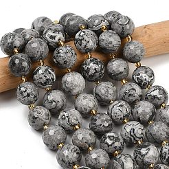 Natural Map Stone Beads Strands&nbsp;G-C249-A05-16mm