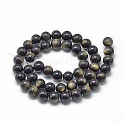 Natural Golden Sheen Obsidian Beads Strands&nbsp;G-R446-8mm-23