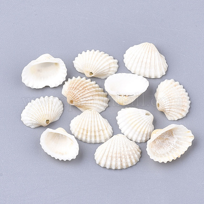 Spiral Shell Charms&nbsp;SSHEL-S251-14-1