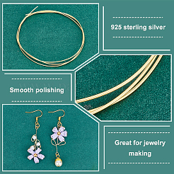 50CM Sterling Silver Wire&nbsp;STER-PH0001-19A