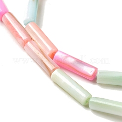 Rainbow Color Dyed Natural Freshwater Shell Beads Strands&nbsp;SHEL-G018-02B