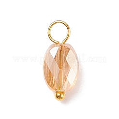 Electroplate Glass Pendants&nbsp;PALLOY-JF01541-02
