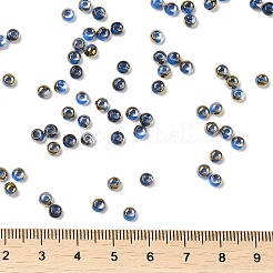 Glass Seed Beads&nbsp;X1-SEED-H002-B-D215