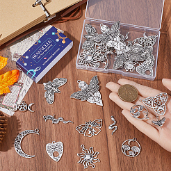 48PCS 12Style Tibetan Style Alloy Pendants&nbsp;TIBE-SC0007-15
