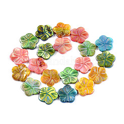 Natural Freshwater Shell Beads Strands&nbsp;SHEL-N026-221A