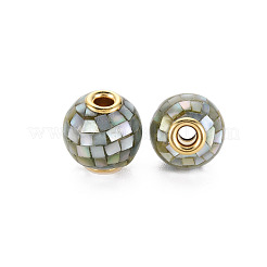 Natural White Shell Mother of Pearl Shell Beads&nbsp;SSHEL-T014-45B