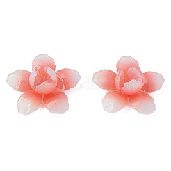 Plastic Beads&nbsp;KY-N015-177