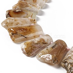 Natural Cherry Blossom Agate Beads Strands&nbsp;G-F719-12