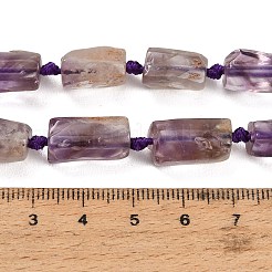 天然の紫色のファントムクォーツ/紫色のロドライトクォーツビーズ連売り  多面カット  コラム  13.5~16.5x8~10.5mm  穴：1.4mm  約23~24個/連  15.55~16.00''（39.5~40.65センチメートル）&nbsp;GG-CBACBBC-A01-01