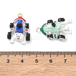 Alloy Enamel Pendants&nbsp;FIND-B069-02