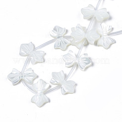 ナチュラルホワイトシェルビーズ連売り  蝶結び  10x16~17x2mm  穴：0.5mm  約20個/連  11.73インチ（29.8cm）&nbsp;SSHEL-S278-123B