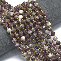 Natural Plum Blossom Tourmaline Beads Strands&nbsp;G-K389-E87-01