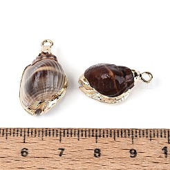 電気メッキ天然貝殻ペンダント  貝殻の形のチャーム  鉄製のループと真鍮製の金具付き  ゴールドカラー  コーヒー  17.5~24x11~13.5x8.5~12mm  穴：1.6~1.8mm&nbsp;SSHEL-T017-44