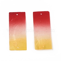 Spray Painted Capiz Shell Big  Pendants&nbsp;SSHEL-T012-19