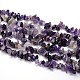 Natural Amethyst Beads Strands&nbsp;G-O049-C-48-1