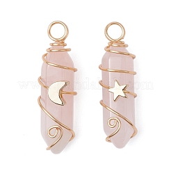 2Pcs 2 Styles Natural Amethyst/Green Aventurine/Rose Quartz/Lapis Lazuli/Quartz Crystal Double Terminated Pointed Pendants&nbsp;PALLOY-JF03122
