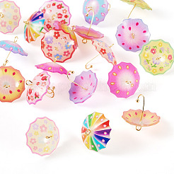 20Pcs 10 Styles Acrylic Pendants&nbsp;MACR-TA0002-20
