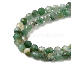 Natural African Jade Beads Strands&nbsp;G-K366-C03-4mm