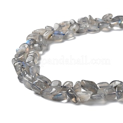 Natural Labradorite Beads Strands&nbsp;G-P497-01A-03