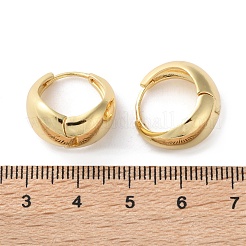 Brass Hoop Earrings&nbsp;EJEW-S249-05G