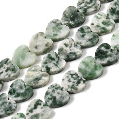 Natural Green Spot Jasper  Beads Strands&nbsp;G-M403-A22-03