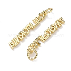 Brass Pendants&nbsp;KK-H256-02G-07