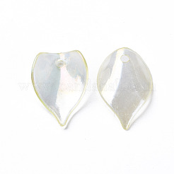 Transparent Acrylic Beads&nbsp;MACR-S373-103-C01
