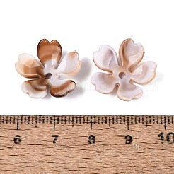 ツートンカラーの不透明なプラスチック製ビーズキャップ  5  - 花びらの花  ペルー  17.5~18x18~18.5x5.5~6mm  穴：1.8mm  約1220個/500g&nbsp;KY-N025-48