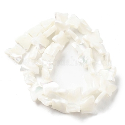 Natural Trochid Shell/Trochus Shell Beads Strands&nbsp;SSHEL-R145-02