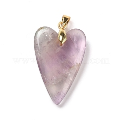 Natural Fluorite Pendants&nbsp;G-E570-01G-01