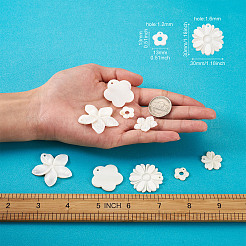 Natural Freshwater Shell Pendants&nbsp;SSHEL-KS0001-01