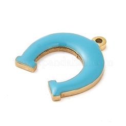 304 Stainless Steel Charms&nbsp;STAS-K263-05G-01